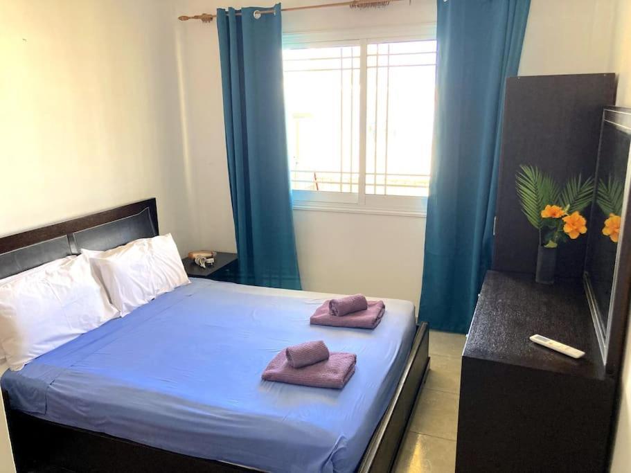 Tranquil Super 1br Near Harbour Apartment *